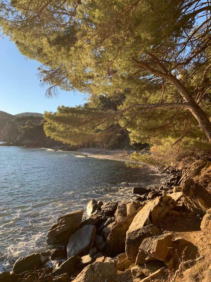 Villa Cavalaire Sur Mer Екстер'єр фото